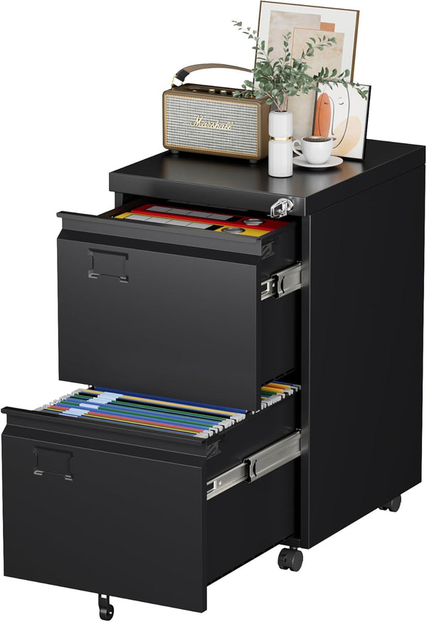 2-Drawer Mobile File Cabinet, Lockable